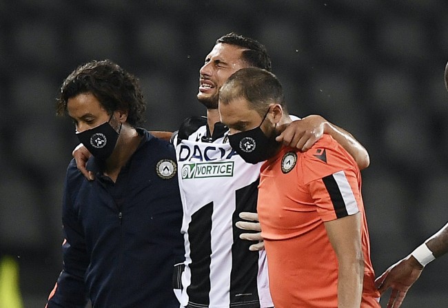 提供了宝贵 提供了宝贵