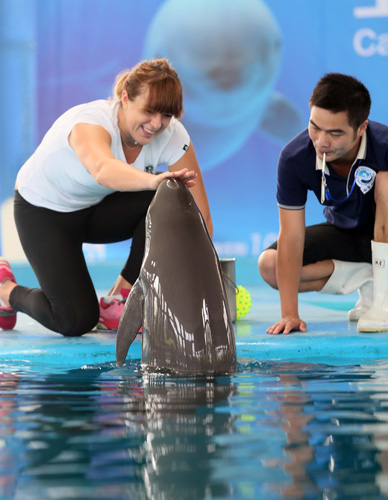 为何同一位 为何同一位